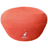 Imagen del producto con referencia 0290BC-CF801
