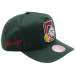 Imagen del producto con referencia 6MUSINTL1505-CBUGREN