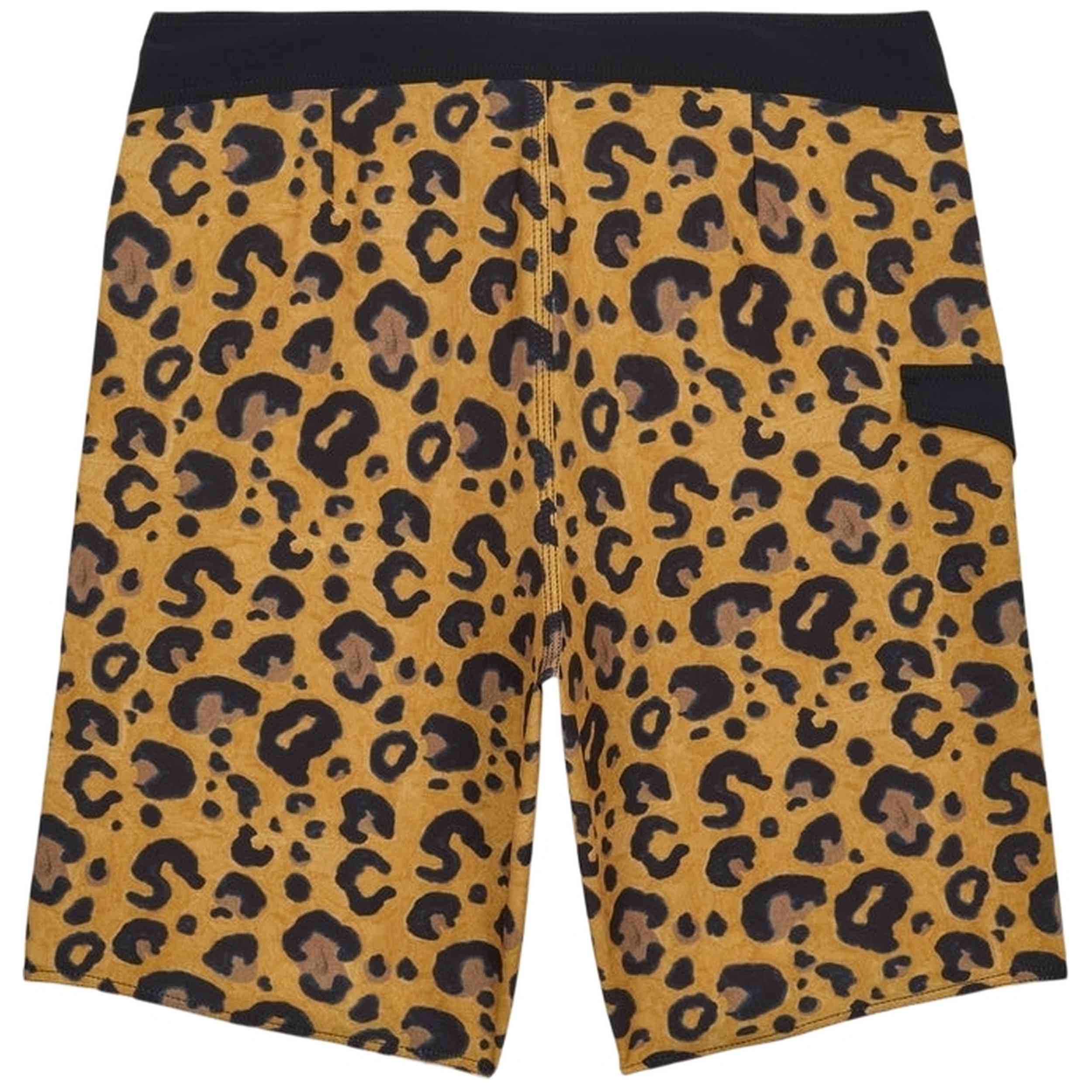 Imagen del producto con referencia A0812625