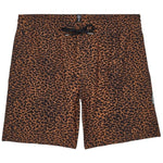 Imagen del producto con referencia A2512613