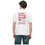 Imagen del producto con referencia DK0A8853C481