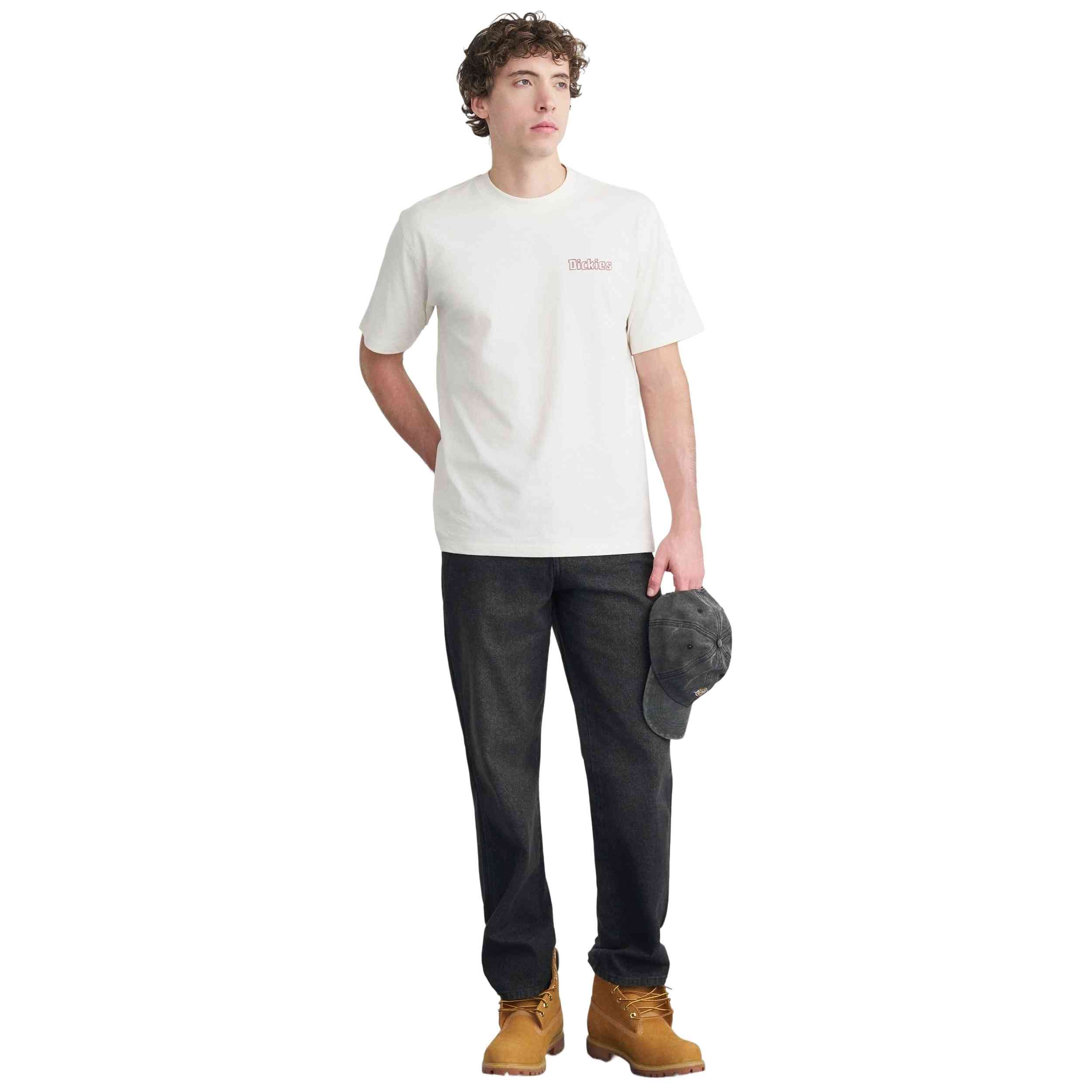 Imagen del producto con referencia DK0A88GEC481