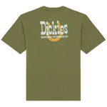 Imagen del producto con referencia DK0A88JVK721