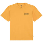 Imagen del producto con referencia DK0A88QQS0R1