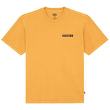 Imagen del producto con referencia DK0A88QQS0R1