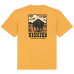 Imagen del producto con referencia DK0A88QQS0R1