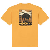 Imagen del producto con referencia DK0A88QQS0R1