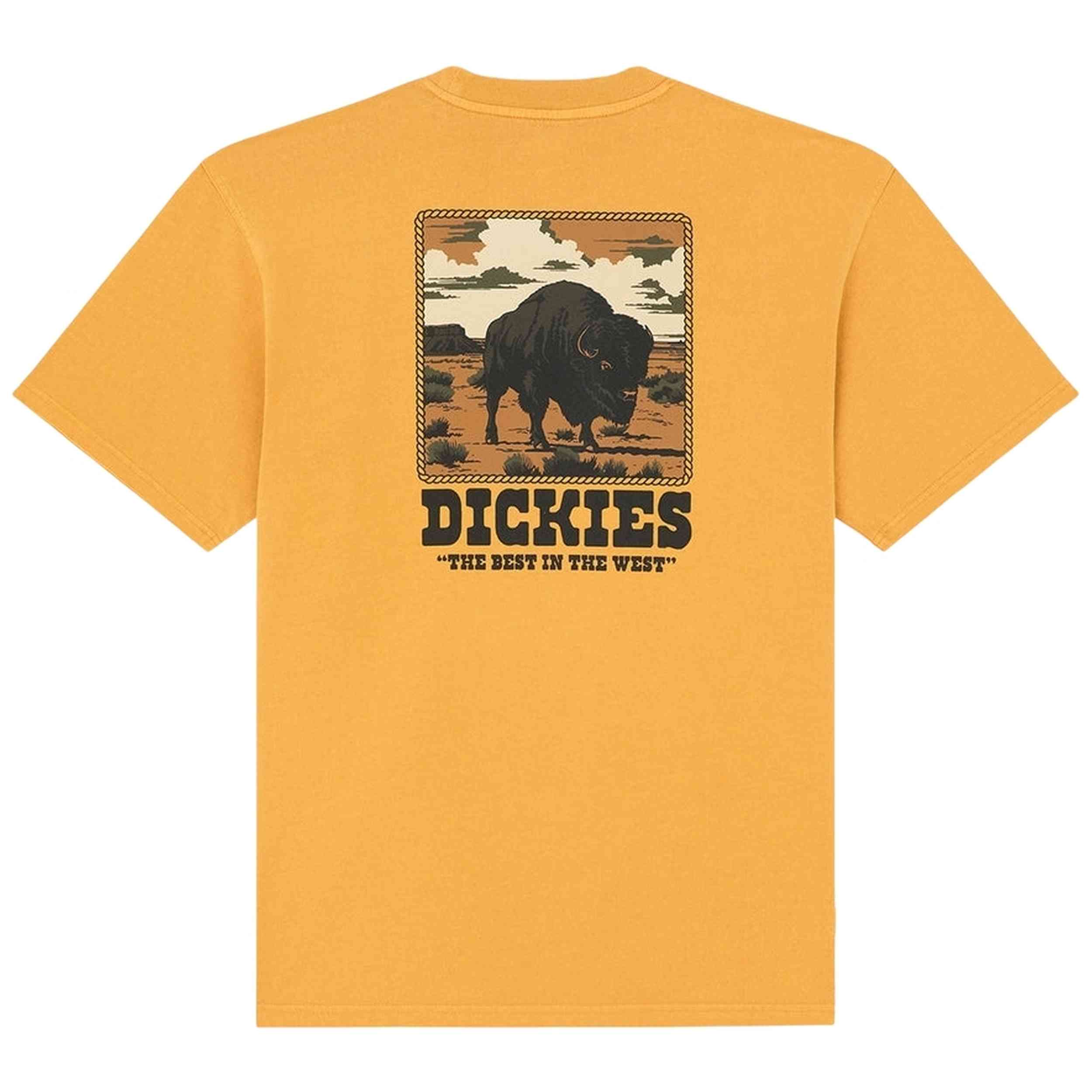 Imagen del producto con referencia DK0A88QQS0R1