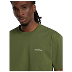 Imagen del producto con referencia DK0A89ENK721-GRN