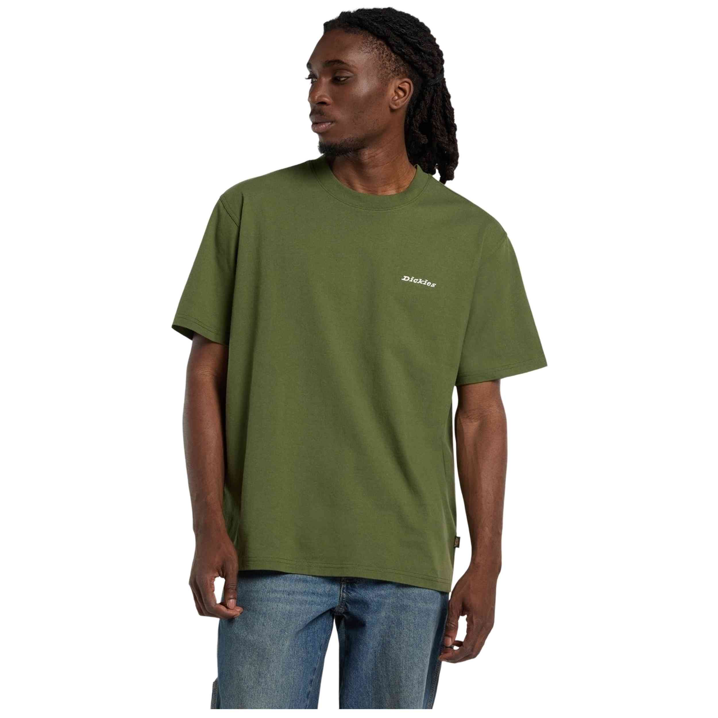 Imagen del producto con referencia DK0A89ENK721-GRN