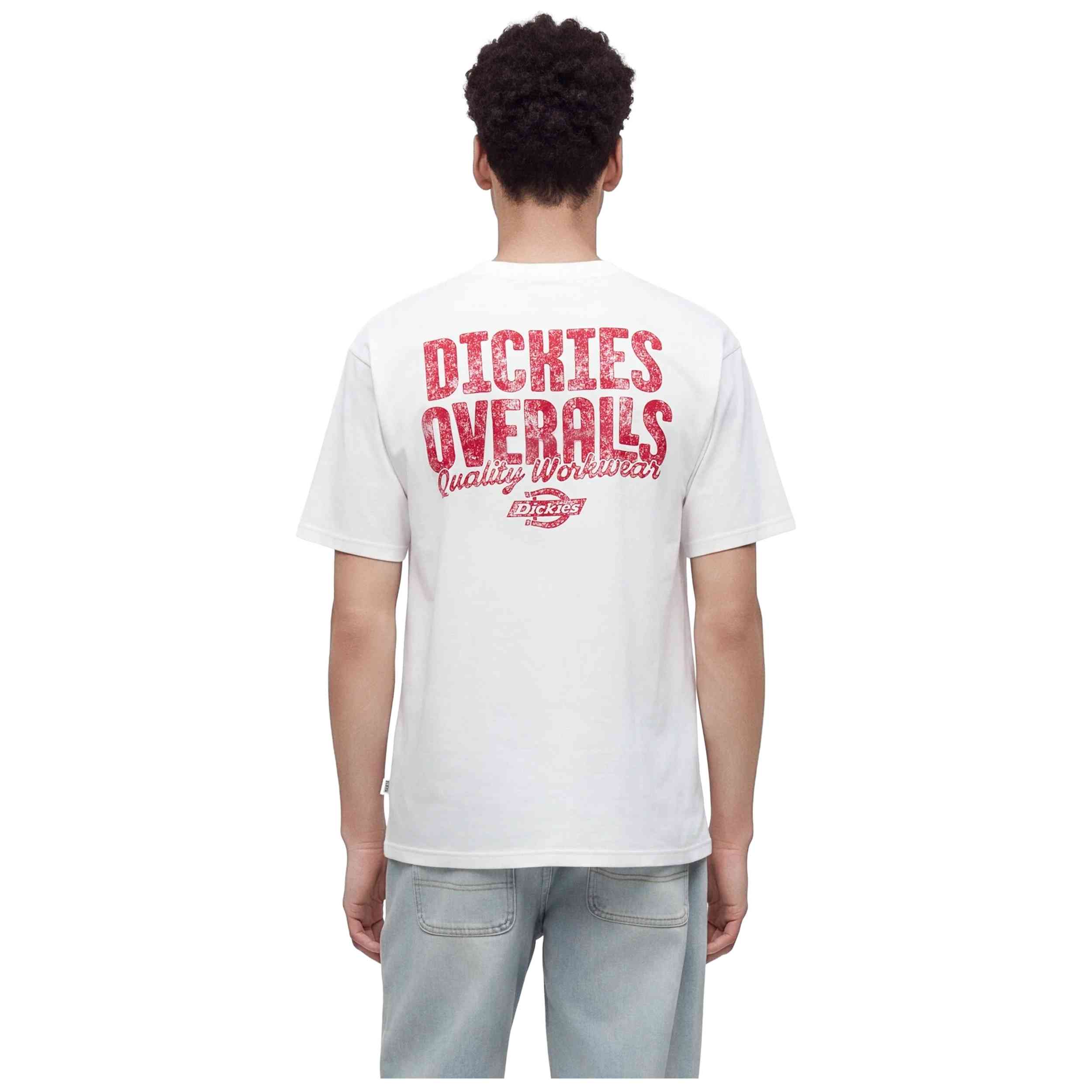 Imagen del producto con referencia DK0A8DTF0WH1
