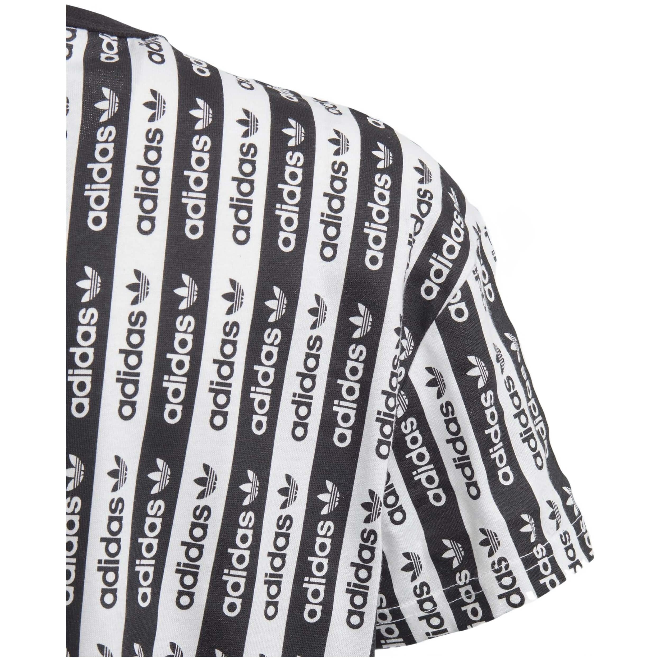 Imagen del producto con referencia FM4395