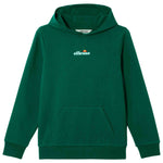 Imagen del producto con referencia S5B23249-GREEN