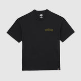 Camiseta Dickies Decartuville Tee Ss